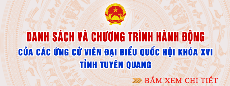 TuyenQuang.gov.vn