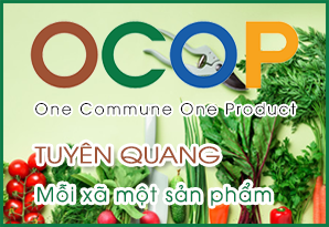 Bản đồ Tuyên Quang