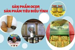 Bản đồ Tuyên Quang