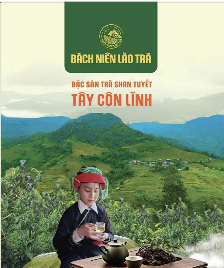 Bản đồ Tuyên Quang