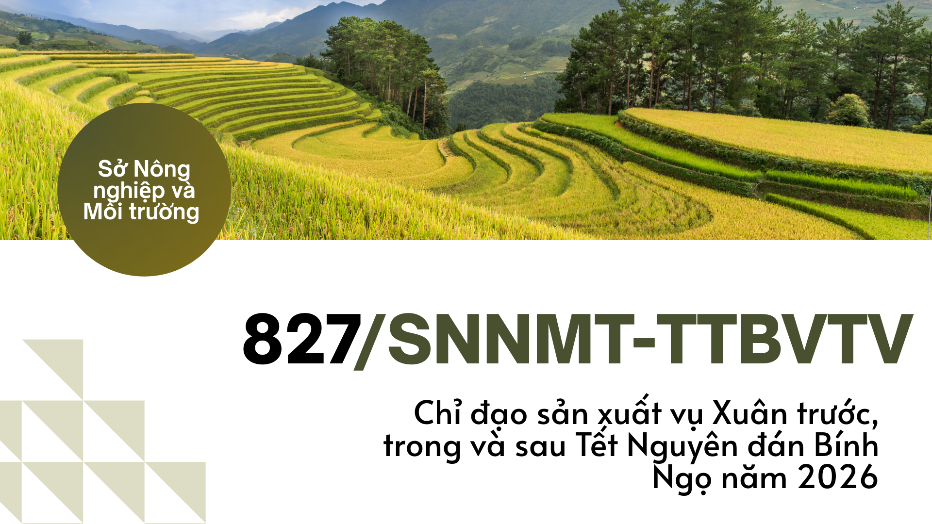 Công văn số 827/SNNMT-TTBVTV ngày 12/02/2026 của Sở Nông nghiệp và Môi trường V/v chỉ đạo sản xuất vụ Xuân trước, trong và sau Tết Nguyên đán Bính Ngọ năm 2026