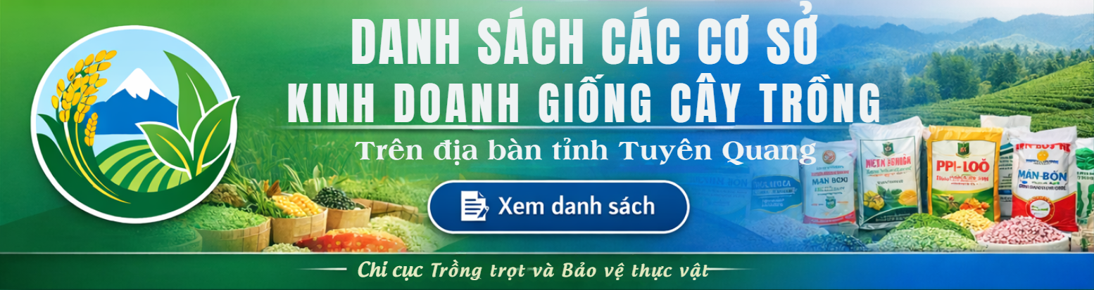  DANH SÁCH CÁC CƠ SỞ KINH DOANH GIỐNG CÂY TRỒNG TRÊN ĐỊA BÀN TỈNH ĐĂNG KÝ THÔNG TIN TRÊN TRANG THÔNG TIN ĐIỂN TỬ SỞ NÔNG NGHIỆP VÀ MÔI TRƯỜNG TỈNH TUYÊN QUANG