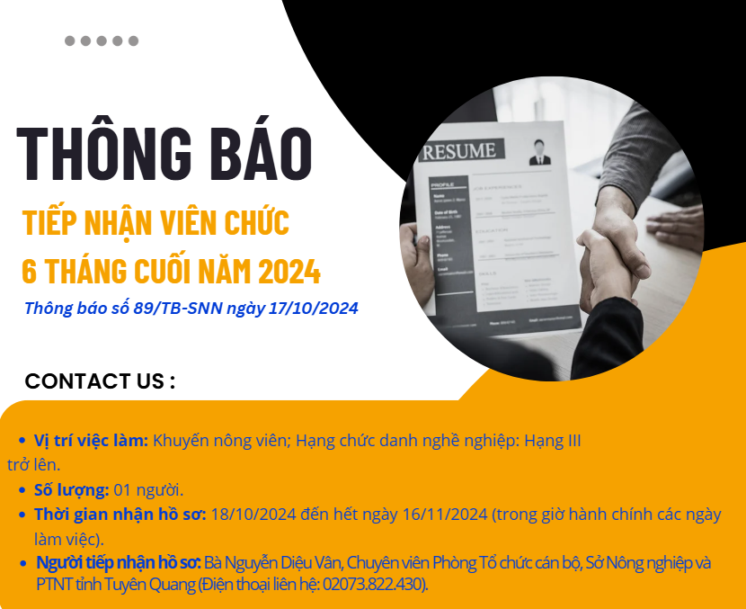 Thông báo tiếp nhận viên chức 6 tháng cuối năm 2024